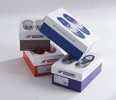 Lưu nháp tự động